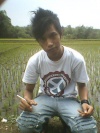 Andr 1